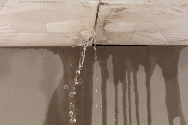 Professional Water Damage Restoration technician working in North Arlington, NJ
